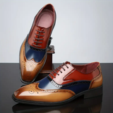 Haris | Pantofi Brog Clasic