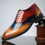 Haris | Pantofi Brog Clasic